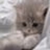 187。さんのアイコン画像