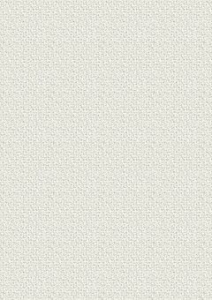 携帯別垢確認用非公開・公開小説夢主設定