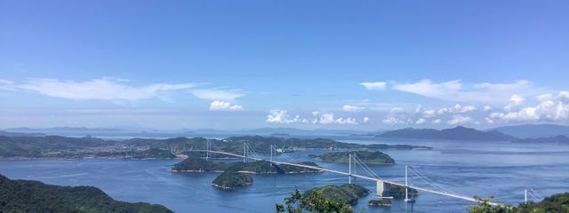 しろくまさんの壁紙画像