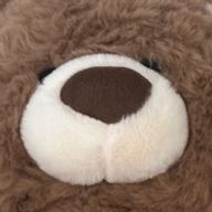くまのこさんのアイコン画像