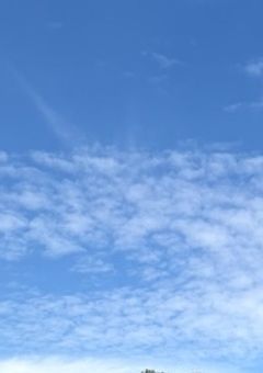 雑談枠