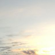 玲瓏さんのアイコン画像