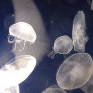 優理さんのアイコン画像