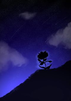 最初で最後の今夜の花