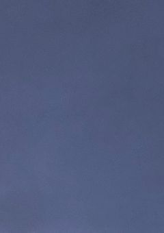 裏切り