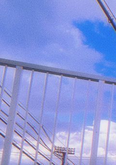 実写