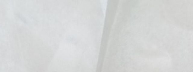 ほのpon🥁👑🐢さんの壁紙画像