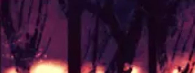 かわいい好きさんの壁紙画像