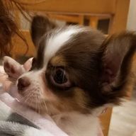 あや(長期入院ちう🥲)さんのアイコン画像