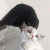 K,Kさんのアイコン画像