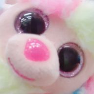ぱらぱらさんのアイコン画像
