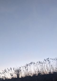 嫌われっ子呪術師に