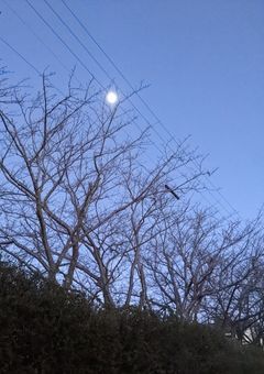 『私が変えなきゃいけないから』