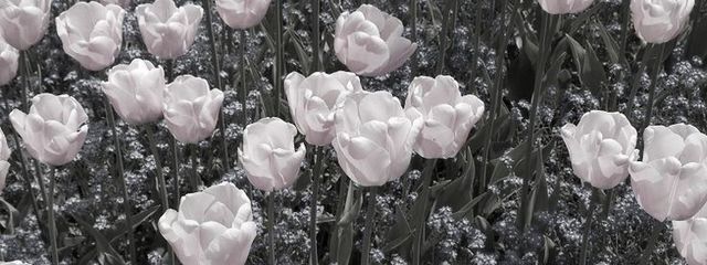 ♡さんの壁紙画像