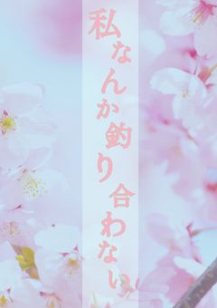 私なんか釣り合わない
