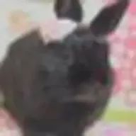 Rpさんのアイコン画像