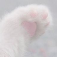.さんのアイコン画像