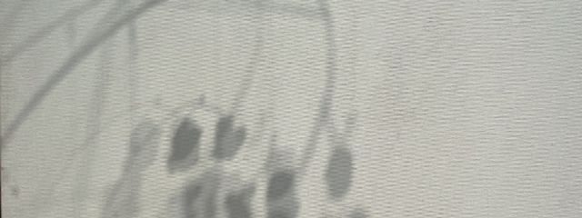 🏩さんの壁紙画像