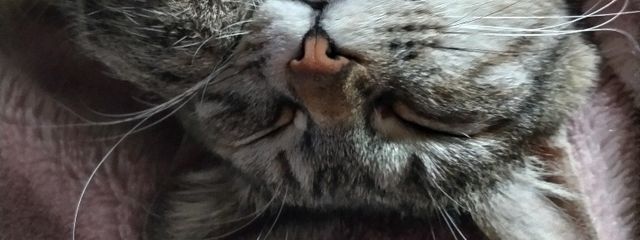 kanaさんの壁紙画像