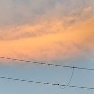 mlKさんのアイコン画像