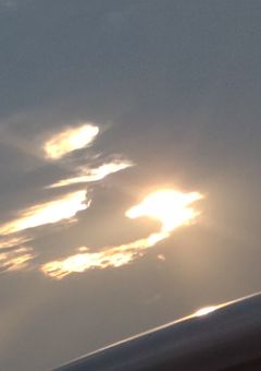 守るのは大切なことだから。【連載停止中】