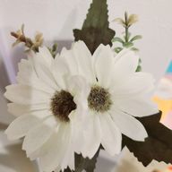 sugarさんのアイコン画像