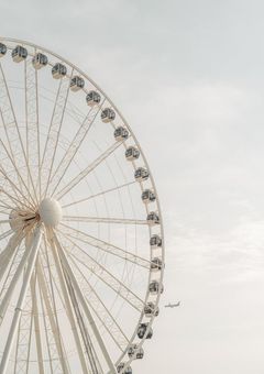 山口忠のお姉ちゃん。