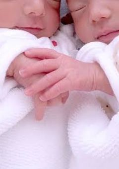 双子の兄はKing&princeの顔面国宝です。