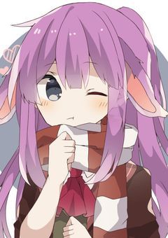 うさぎの１日