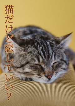 猫だけど恋していい？
