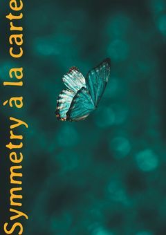 Sym🍋🍇metry à la carte❄❄