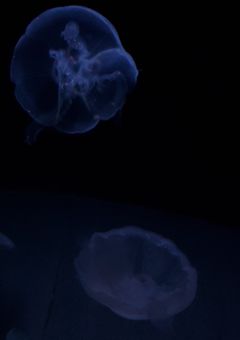 男子校怪談～another story～