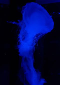 K-pop　闇短編集