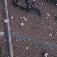 ひまなやさんのアイコン画像