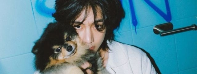 momotarouさんの壁紙画像