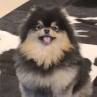 momotarouさんのアイコン画像