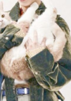    𝘿𝙖𝙮𝙙𝙧𝙚𝙖𝙢  