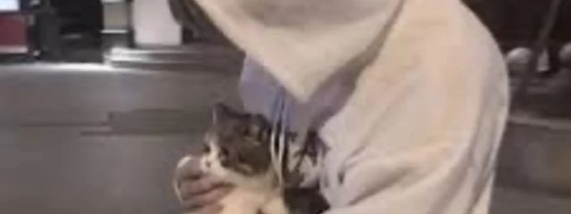 ぴざさんの壁紙画像