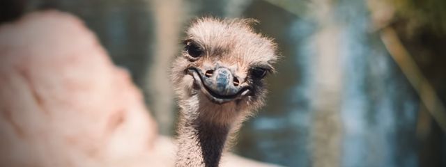 ☁️ ものすごくていふさんの壁紙画像