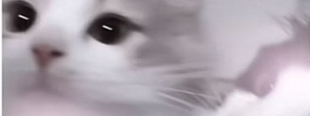 🍓☁️ ‪𓂃𓈒𓏸໒꒱︎サブさんの壁紙画像