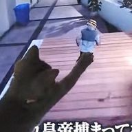 名無しさんさんさんのアイコン画像