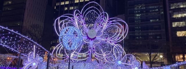 ここあ🩵🪽🫧さんの壁紙画像