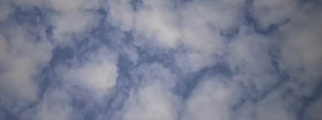 Saraさんの壁紙画像