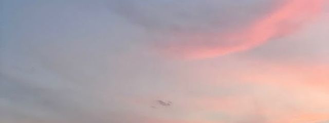 桜さんの壁紙画像