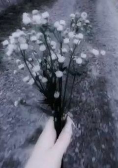 もういいかい？