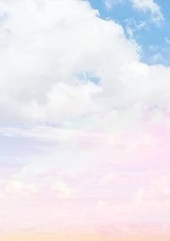 　名も無き天使で在りたかった。　
