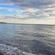 ペペちさんのアイコン画像