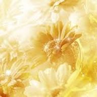 あああああさんのアイコン画像