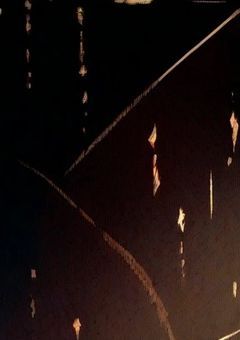 特殊な僕らと、“普通“な君ら