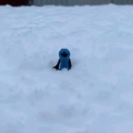 他人さんのアイコン画像